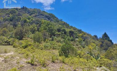 TERRENO CON MUY BONITA VISTA EN MINERAL DEL MONTE PUEBLO MÁGICO.