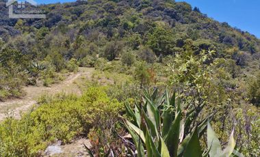 TERRENO CON MUY BONITA VISTA EN MINERAL DEL MONTE PUEBLO MÁGICO.