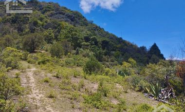 TERRENO CON MUY BONITA VISTA EN MINERAL DEL MONTE PUEBLO MÁGICO.