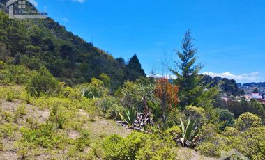 TERRENO CON MUY BONITA VISTA EN MINERAL DEL MONTE PUEBLO MÁGICO.