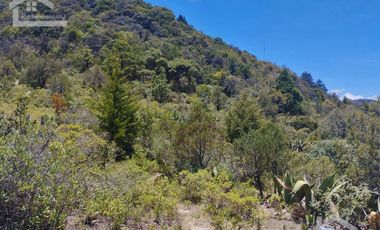 TERRENO CON MUY BONITA VISTA EN MINERAL DEL MONTE PUEBLO MÁGICO.
