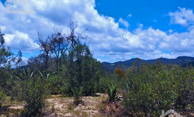 TERRENO CON MUY BONITA VISTA EN MINERAL DEL MONTE PUEBLO MÁGICO.