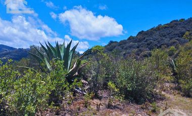 TERRENO CON MUY BONITA VISTA EN MINERAL DEL MONTE PUEBLO MÁGICO.