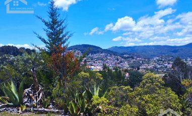 TERRENO CON MUY BONITA VISTA EN MINERAL DEL MONTE PUEBLO MÁGICO.
