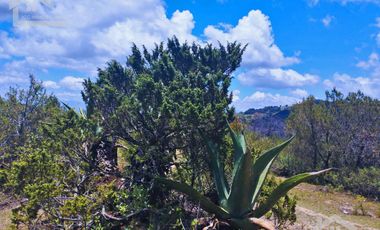 TERRENO CON MUY BONITA VISTA EN MINERAL DEL MONTE PUEBLO MÁGICO.