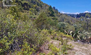 TERRENO CON MUY BONITA VISTA EN MINERAL DEL MONTE PUEBLO MÁGICO.