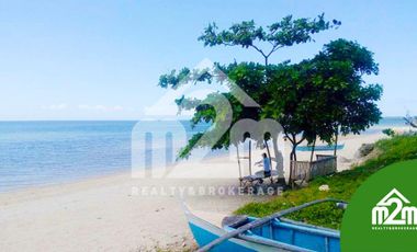 Residential Beachlot For Sale Php 5,500 per sqm In Medellin,Cebu