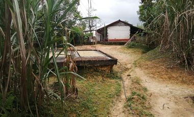 Venta Finca Agrícola y Ganadera San Roque Antioquia