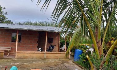 Venta Finca Agrícola y Ganadera San Roque Antioquia