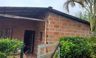 Venta Finca Agrícola y Ganadera San Roque Antioquia