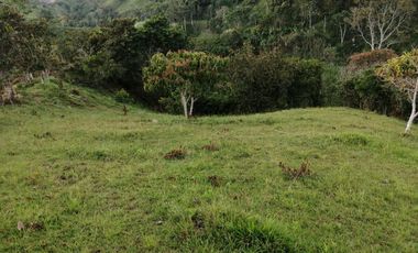 Venta Finca Agrícola y Ganadera San Roque Antioquia