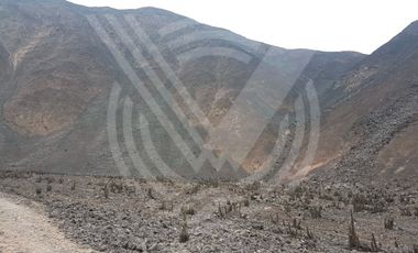 SE VENDE TERRENO DE 200 HA PARA CANTERA A BUEN PRECIO