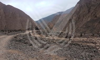 SE VENDE TERRENO DE 200 HA PARA CANTERA A BUEN PRECIO