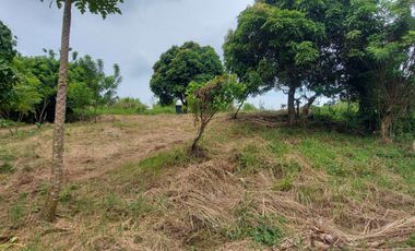 FOR SALE! 4,050 sqm Vacant Lot at Tolentino West Tagaytay Cavite