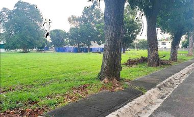 RARE Manila Southwoods Phase 3 Lot For Sale 12.5 KM From Ayala Alabang Ready For House Construction