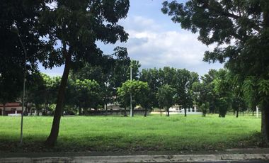 RARE Manila Southwoods Phase 3 Lot For Sale 12.5 KM From Ayala Alabang Ready For House Construction