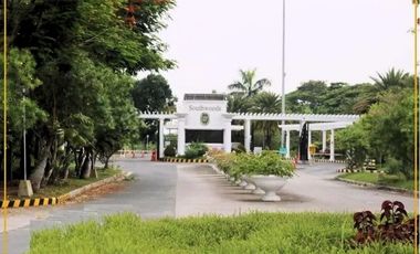 RARE Manila Southwoods Phase 3 Lot For Sale 12.5 KM From Ayala Alabang Ready For House Construction