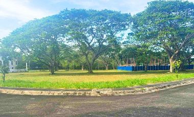 RARE Manila Southwoods Phase 3 Lot For Sale 12.5 KM From Ayala Alabang Ready For House Construction