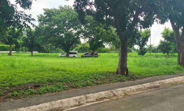 NEW Manila Southwoods Phase 3 Lot For Sale 12.5 KM From Ayala Alabang Near Southwoods Exit