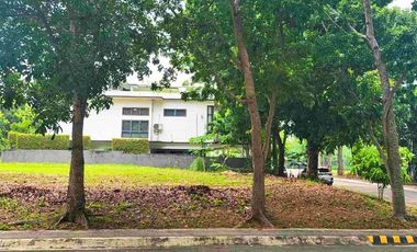Amazing Corner Lot For Sale In Manila Southwoods Golf Estate Next To Ayala Alabang