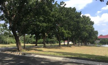 Amazing Corner Lot For Sale In Manila Southwoods Golf Estate Next To Ayala Alabang