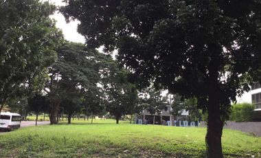 Amazing Corner Lot For Sale In Manila Southwoods Golf Estate Next To Ayala Alabang