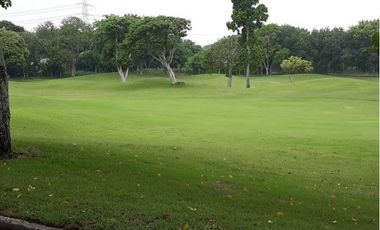 RARE Manila Southwoods Phase 3 Lot For Sale 12.5 KM From Ayala Alabang Ready For House Construction