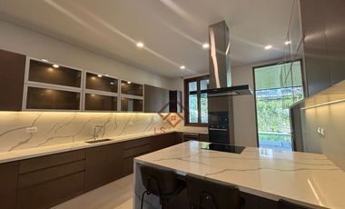 FOR SALE Ultra Luxurious Modern House and Lot in Ayala Alabang Village - SH76
