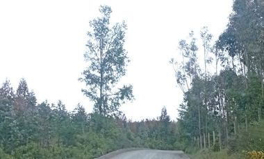 Parcela Chancoyan Casa, Piscina , Tinaja