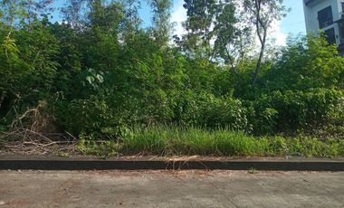 Affordable 120 sqm Lot for sale at Greenville Heights Consolacion Cebu FLAT ELEVATED