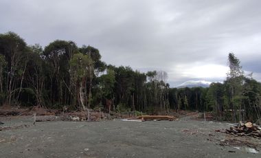 Parcela de 1 hectárea, Polincay.