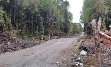 Parcela de 1 hectárea, Polincay.