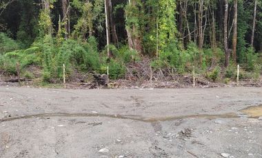 Parcela de 1 hectárea, Polincay.