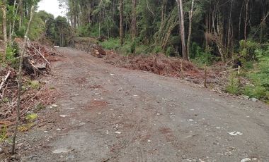 Parcela de 1 hectárea, Polincay.