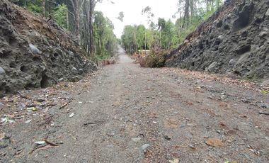 Parcela de 1 hectárea, Polincay.