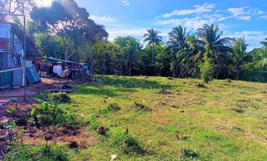 Very Affordable Pre-selling 298 sqm Residential Farm Lot for sale in Mendez Cavite