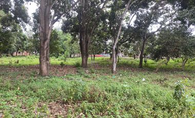 TERRENOS DE VENTA EN TOSAGUA CERCA AL BANCO PICHINCHA