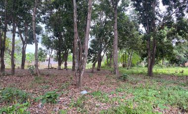 TERRENOS DE VENTA EN TOSAGUA CERCA AL BANCO PICHINCHA