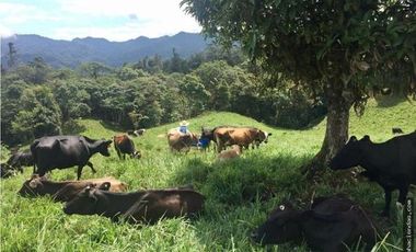 EN VENTA DOS HERMOSAS HACIENDAS EN LA ZONA DE LOS BANCOS, se venden juntas o por separado
