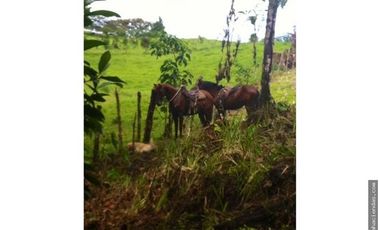 EN VENTA DOS HERMOSAS HACIENDAS EN LA ZONA DE LOS BANCOS, se venden juntas o por separado