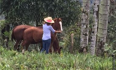 EN VENTA DOS HERMOSAS HACIENDAS EN LA ZONA DE LOS BANCOS, se venden juntas o por separado