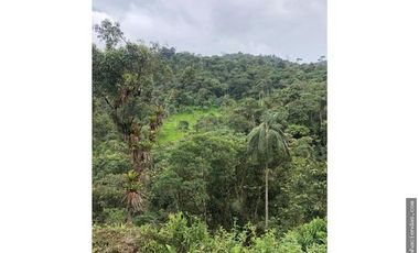 EN VENTA DOS HERMOSAS HACIENDAS EN LA ZONA DE LOS BANCOS, se venden juntas o por separado