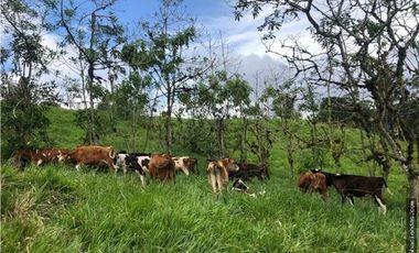 EN VENTA DOS HERMOSAS HACIENDAS EN LA ZONA DE LOS BANCOS, se venden juntas o por separado