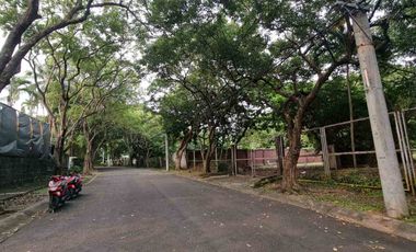 NOT Tumbok! INNER Lot! for Sale in South Forbes, Makati City