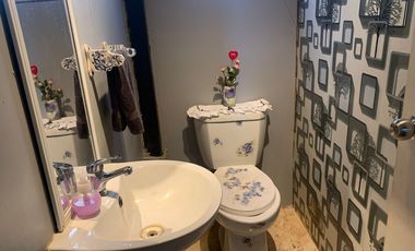 Se vende parcela con casa, comuna de San Clemente