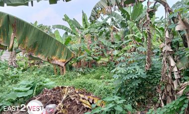 Dijual Kavling Lengkong Gudang Tangerang Selatan Murah Lokasi Ramai Strategis Bisa untuk Rumah Kost Atau Kontrak