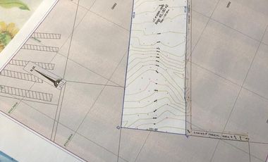 TERRENO DE 45,000 M2 KM 84 PANAMERICANA NORTE VENDO