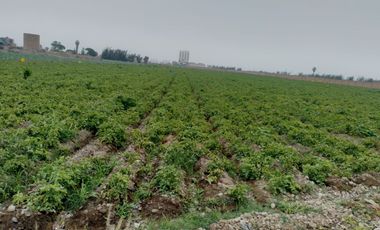 TERRENO DE 45,000 M2 KM 84 PANAMERICANA NORTE VENDO