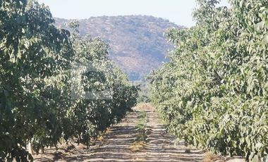 PARCELA EN VENTA