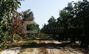 PARCELA EN VENTA